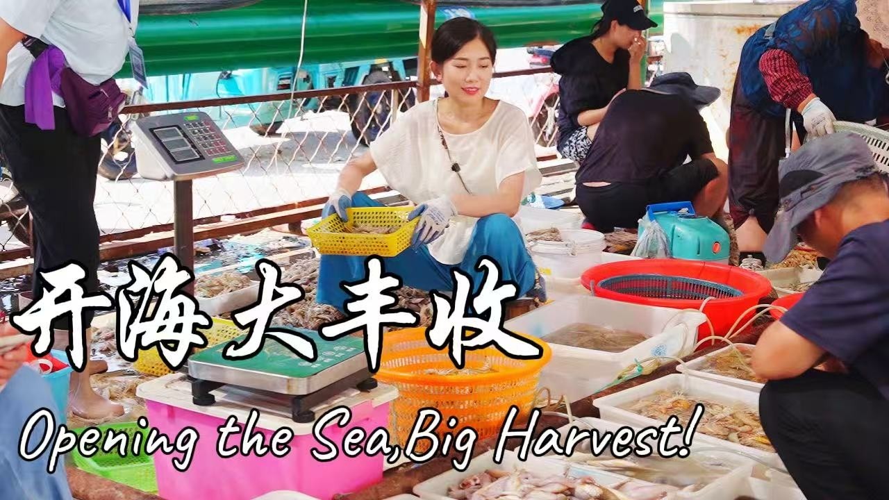 开海第一天！10元一大盆鲜活海鲜，太划算了！【海曲姑娘 Haiqu Girl】 #chinesefood  #food  #中国美食 【日照李子柒】