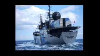 When Sea Shepherd Vessels Return!