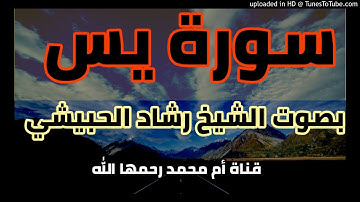 سورة يس _ الشيخ رشاد الورد الحبيشي حفظه الله/20شعبان1441هجي