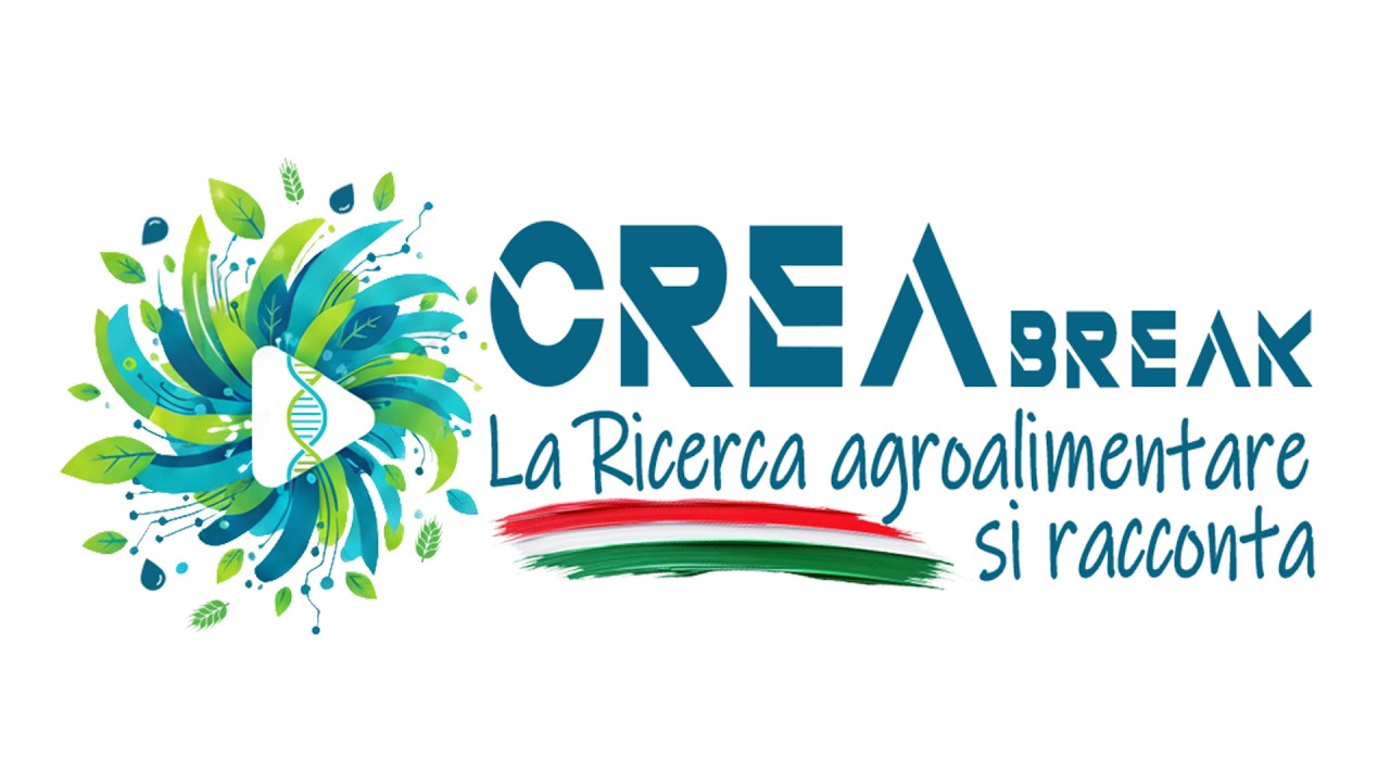 Перерыв CREA: CREAthon 2026 — направления наших исследований