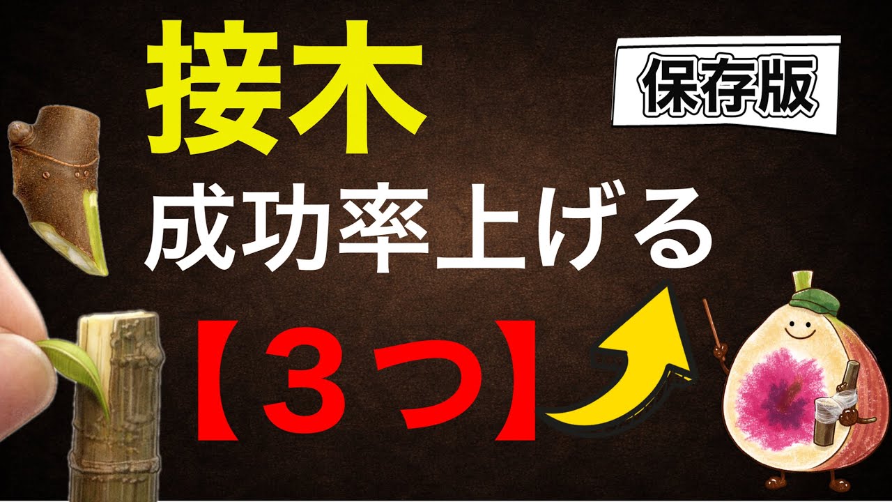 【保存版】接木の成功率を本気で上げる3つの本質