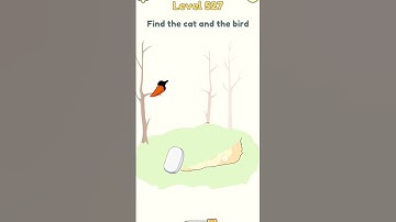 Dop 2 Level 527 Find the cat and the bird #youtubeshorts #shortsfeed #dop2