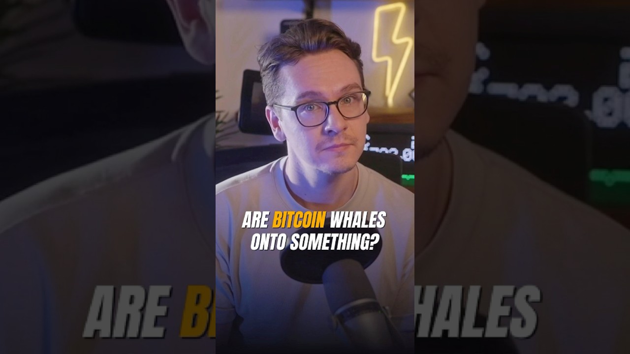 Why are Bitcoin whales making HUGE moves?