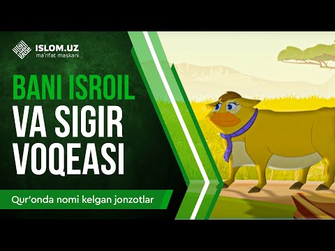 Universitetda Mariya Kozhevnikova bilan jinsiy aloqa