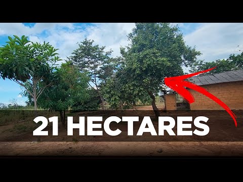 R$ 390 mil. 25 hectares, 100% plana, próximo ao rio urucuia, 24 km de  Buritis-MG, 240 do DF 