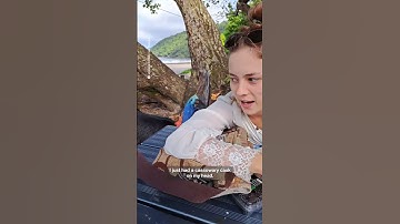Cheeky Cassowary Makes Unexpected Appearance at Family Picnic