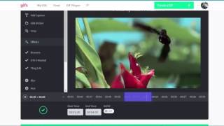 Как быстро продвигать свой бизнес через GIFS картинку Как быстро продвигать свой бизнес через GIFS картинку