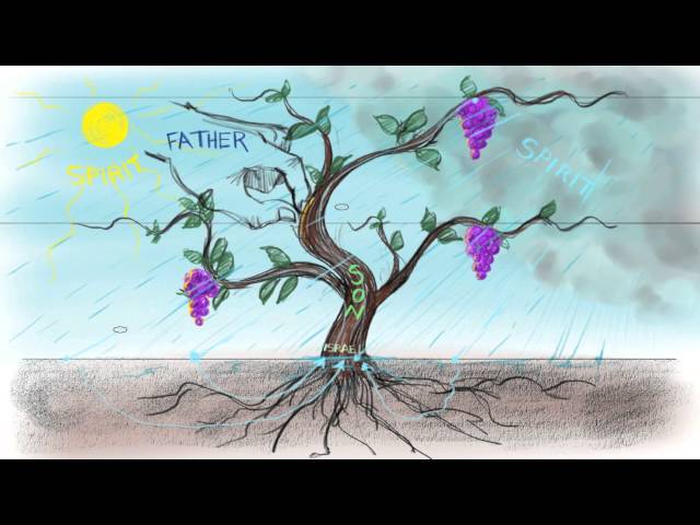 The Vine and the Branches | John 15:1-15 class=