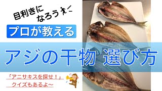 おいしいアジの干物の選び方（アニサキスを探せ！クイズもあるよ）