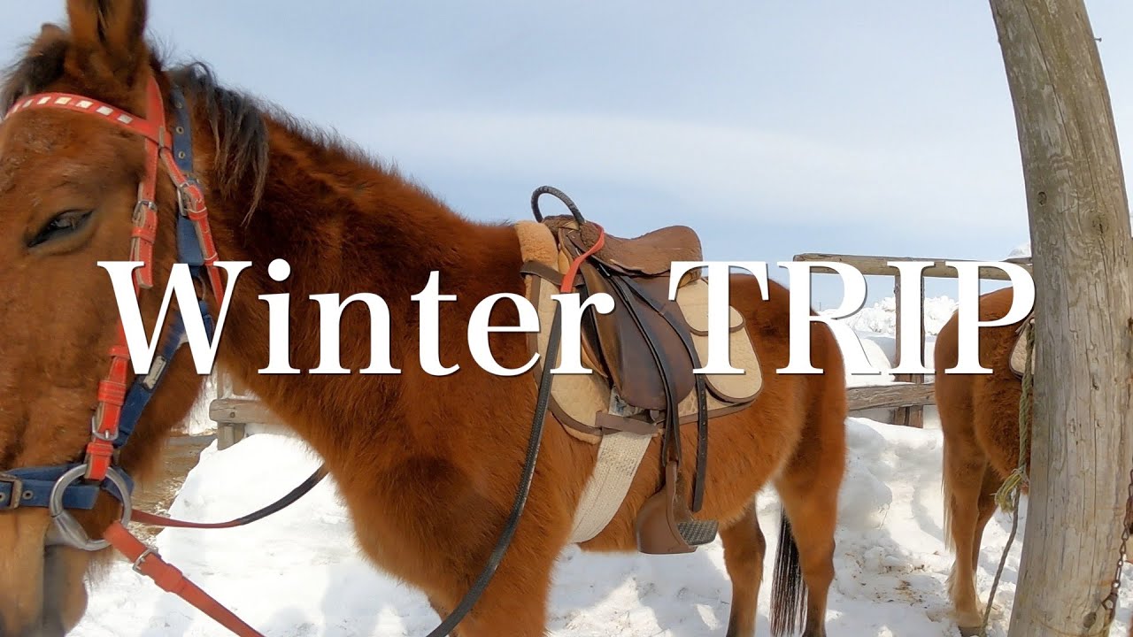 【公式】2days in north JAPAN~life is one