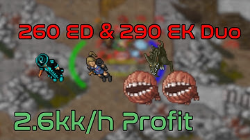tibia | Duo EK+ED | Lower Roshamuul | 2.6kk/150% [200+ @ 270+] | tibia guide