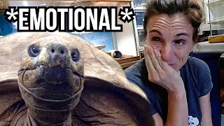 SHE CRIED WHEN WE GOT THIS NEW ANIMAL FOR THE REPTILE ZOO!! | BRIAN BARCZYK