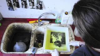 Famous Darkroom topshit tricks - split toning with sulphide and selenium toner Profile