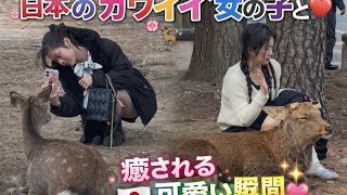 かわいい女の子とフレンドリーな鹿🦌💖 | 日本の平和な自然のひととき鹿と遊ぶ美しい女の子 🦌💞 | リラックスした日本の生活