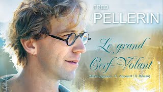 Video thumbnail of "LE GRAND CERF-VOLANT (Fred Pellerin)"