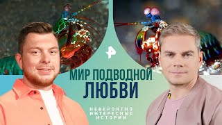 Мир Подводной Любви — Невероятно Интересные Истории | Рен Тв