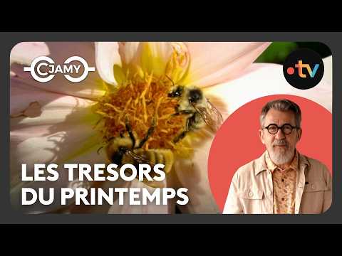 Spring: The season that wakes up the whole planet - C Chaud - C Jamy