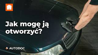 Jak wymienić Akumulator Start-Stop FORD TRANSIT TOURNEO (FC_ _) 2.0 - triki do wymiany