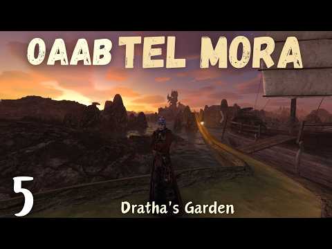 OAAB Tel Mora - Tel Mora Overhaul | Dratha's Garden