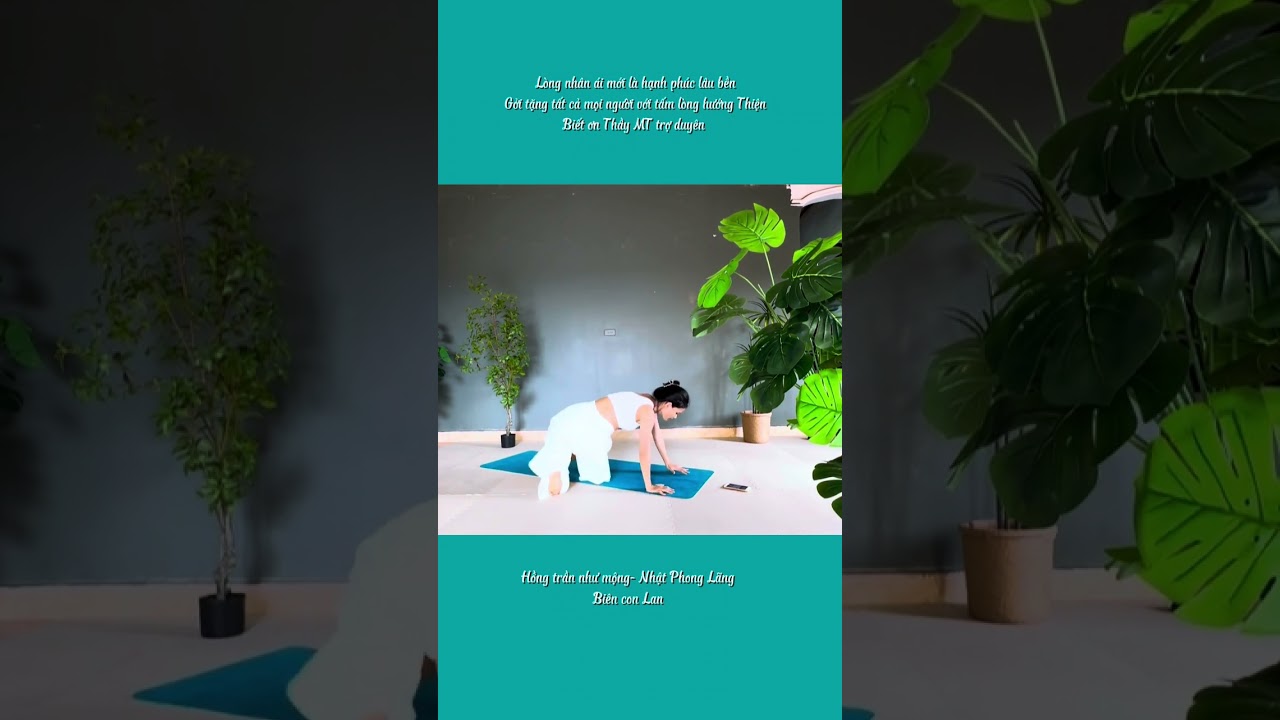 Hồng trần như mộng - flow yoga biên cô văn lan