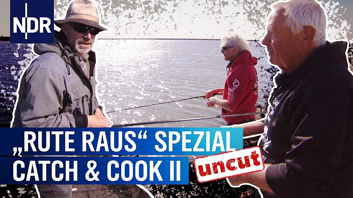 Heringe angeln am Holmer Siel (uncut) | Rute raus,...