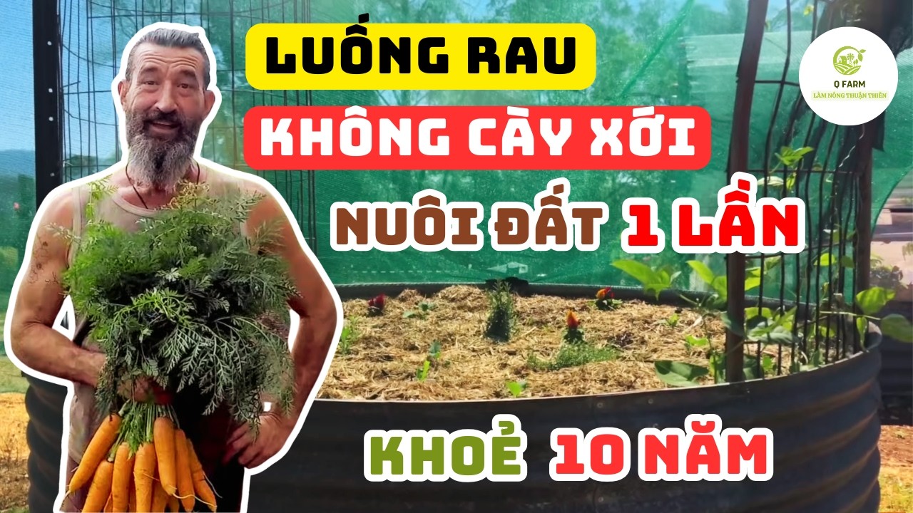 Luống Trồng Cây Nâng Cao: Bí Quyết Làm Vườn Tự Nhiên Nuôi Đất 10 Năm