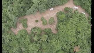 BeardsOn grant 3,000 trees Atherton Tablelands