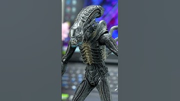 CR Scan Otter! Scanning The Alien!