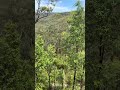 Lawsons Point, Blue Mountains, Sydney Australia ! Such a easy and fun hike ! 🤭 #sydney #australia