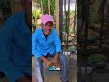 mini vlog #explore #mango #business #minivlog #mangoseason #youtube #explorepage #youtubeshorts #fyp