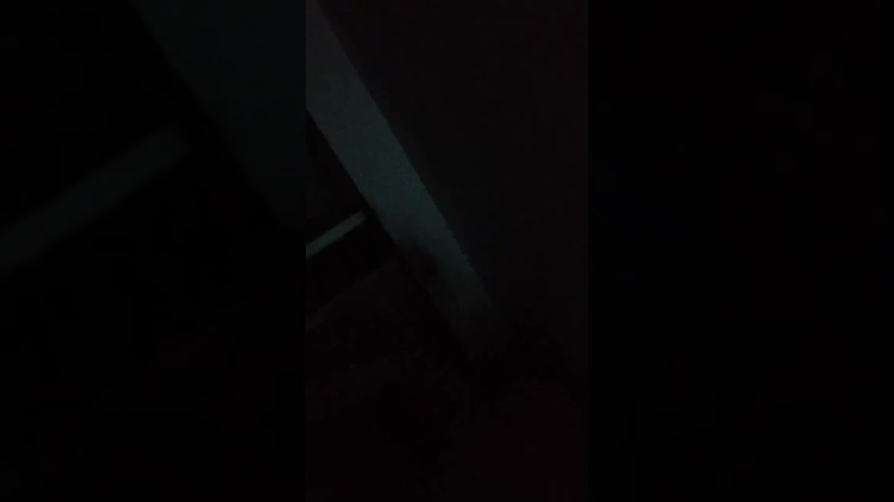 Highlight 10:37 – 15:34 from ManjuDevi99m is live