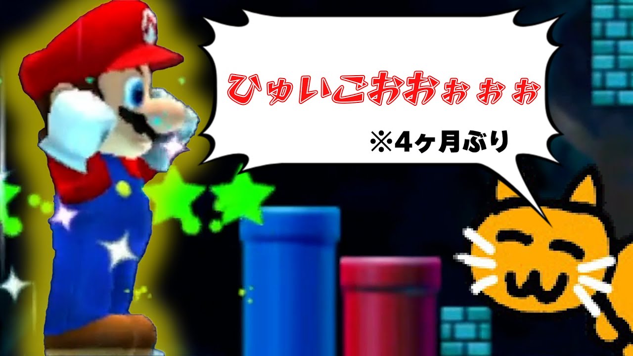 【コメ付き】情けないヒュイゴーが4ヶ月ぶりに出たネネチニャン【ネネチニャン切り抜き】【情けないマリオ】
