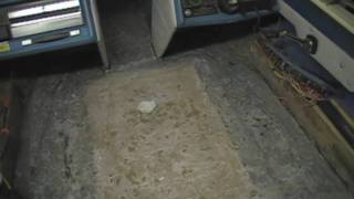 I/O Transom Replacement Glastron Restoration Part 2