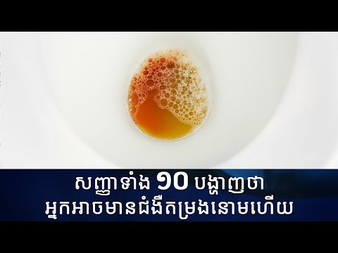 ១០ សញ្ញាដែលអាចឱ្យអ្នកដឹងថាអ្នកមានជំងឺតម្រងនោមឬក៏អត់ | Signs that you may have kidney disease