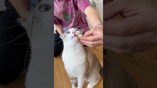 Gary Has No Boundaries