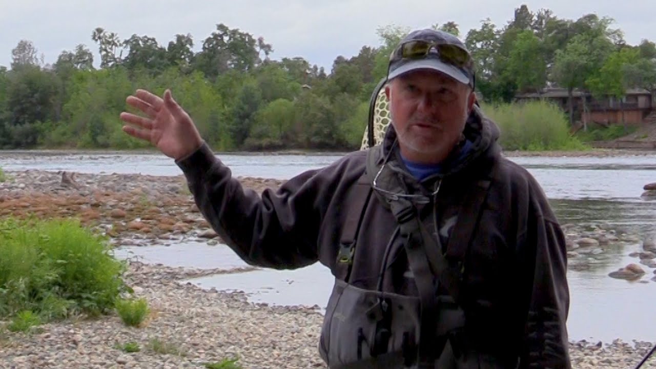 Fish Species in the Lower Sacramento River