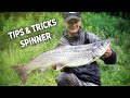 Fishing sea run brown with spinners  tips for fishing rivers for sea run brown trout