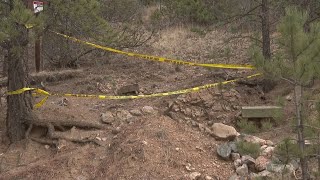 Colorado Wildlife Workers Hunting Down A Third Mountain Lion After Woman Killed In Suspected Attack