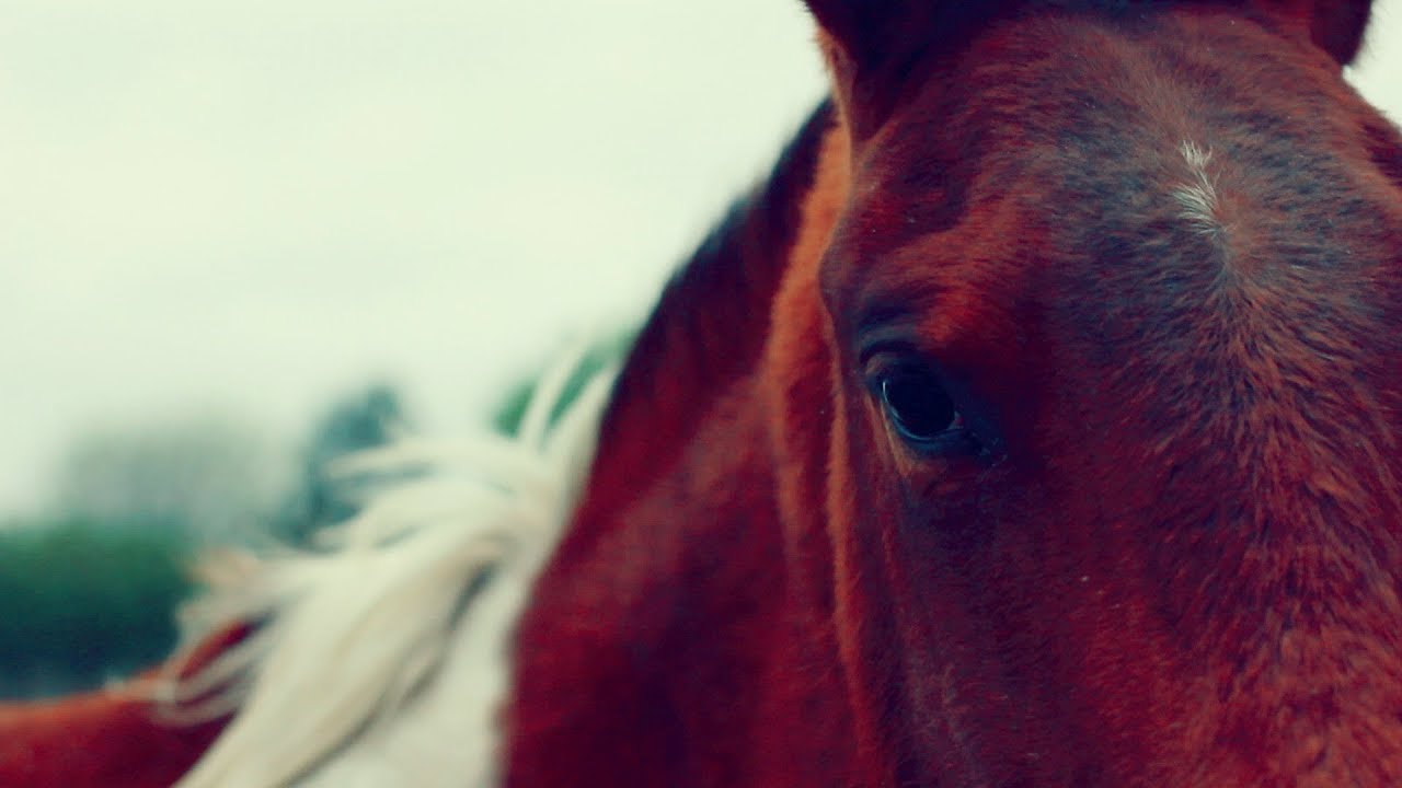 GIOVANNI tha KING - My Galaxy Feat. Paisley Starfire