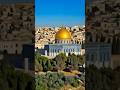La Cruzada como respuesta #edadmedia #cruzadas #medieval #jerusalem