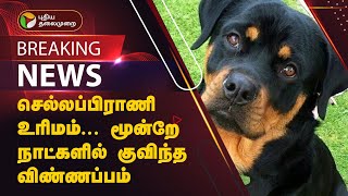 #BREAKING | செல்லப்பிராணி உரிமம்... மூன்றே நாட்களில் குவிந்த விண்ணப்பம் | Pet license | PTT