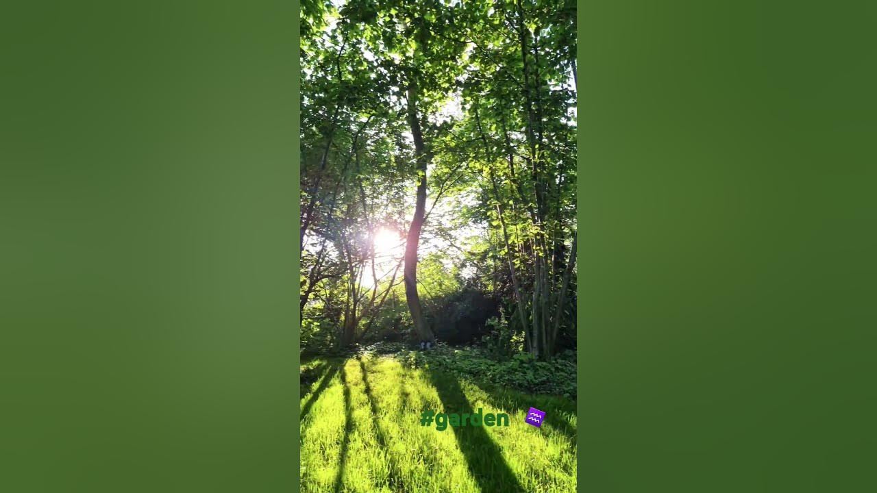 36+ B.u.a.p 006 Garten Der Seelen, 9783936480856 | kostenloser