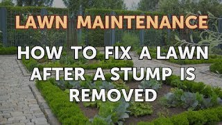 How to Fix a Lawn After a Stump Is Removed
