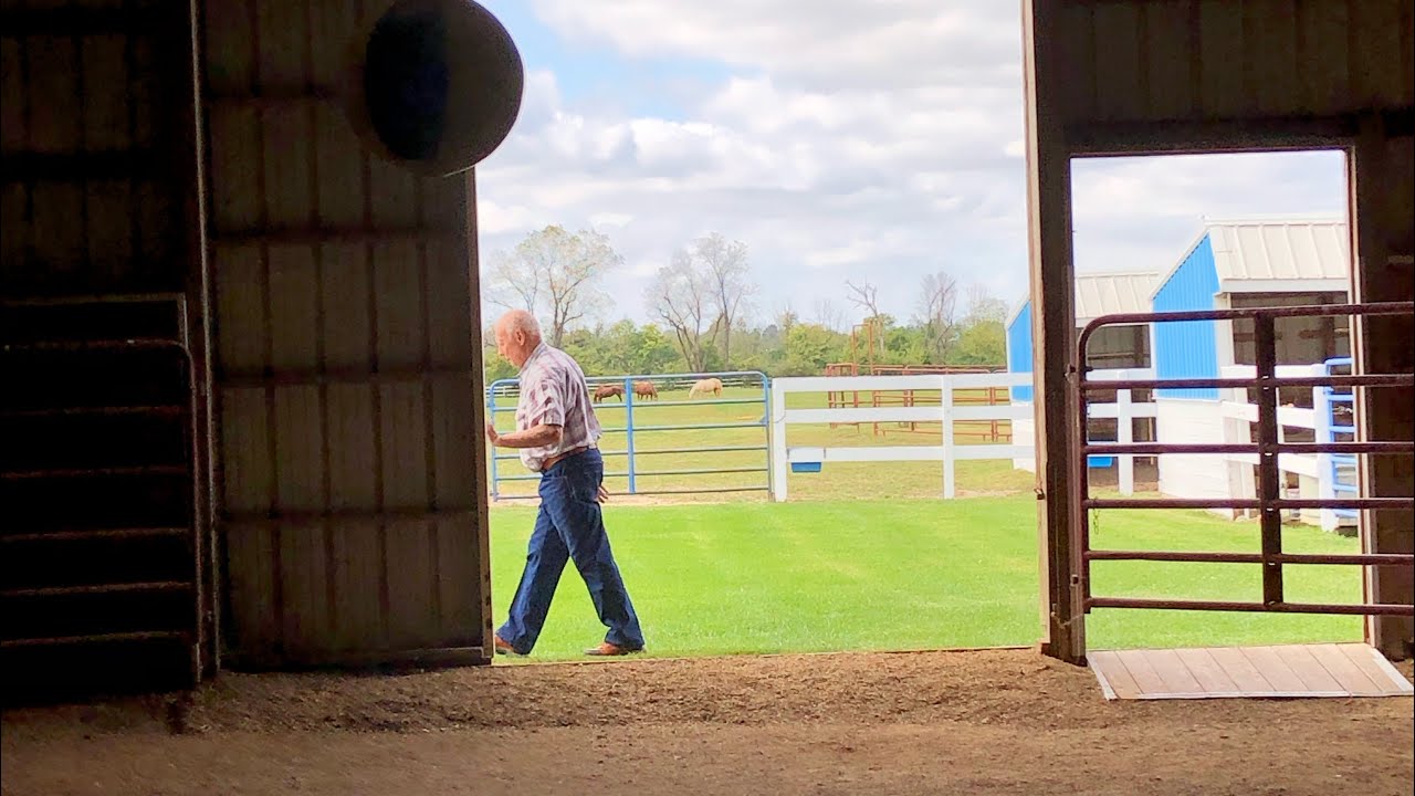Horse Farm at Indiana YouTube