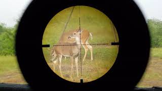 Texas NFA Gun Trust.    Cull Buck Harvest