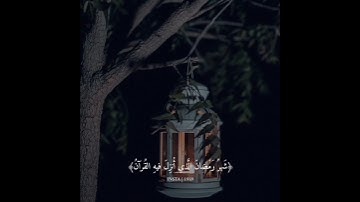 شهر رمضان الذي انزل فيه القران القارئ عبدالرحمن مسعد