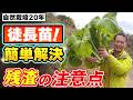 【自然栽培423】徒長苗は、簡単に解決できるよ！残渣の注意点！