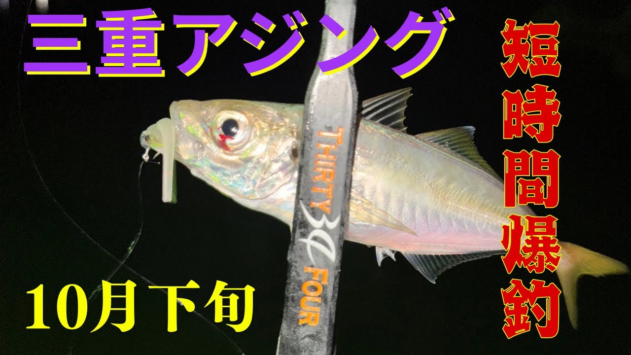 【アジング】10月下旬　仕事前に短時間爆釣