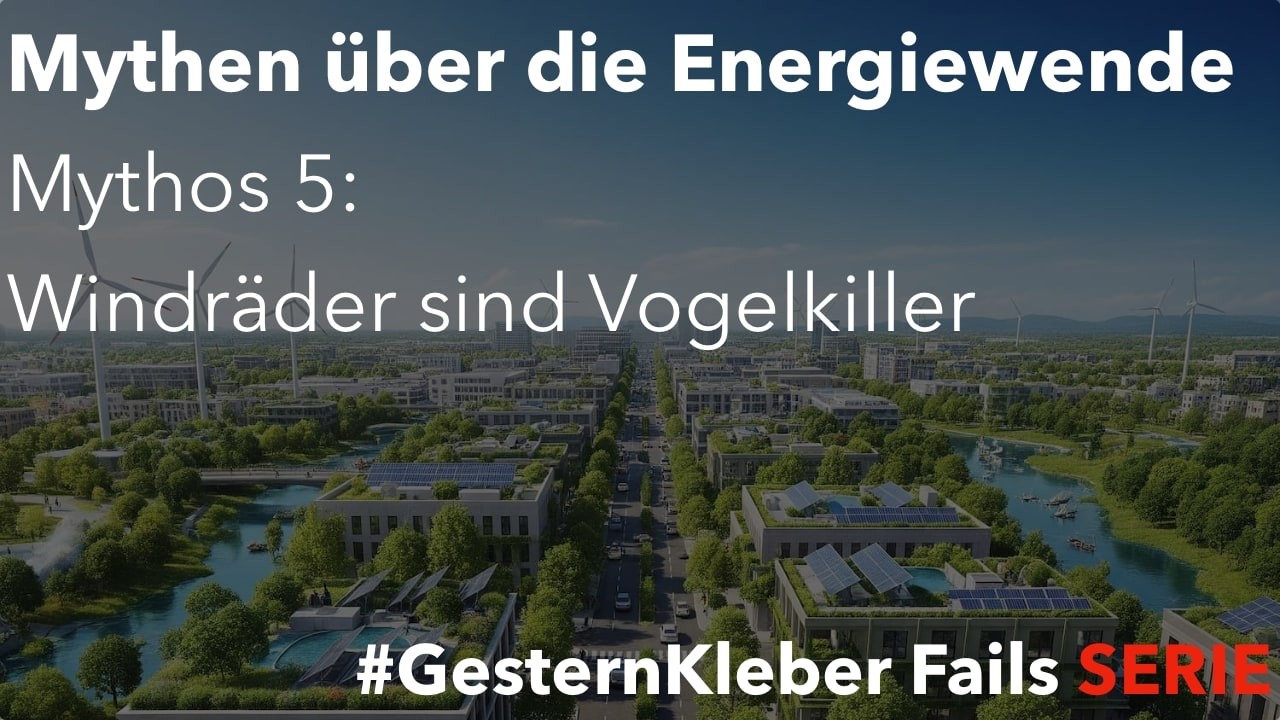 SERIE - Mythen über die Energiewende - Mythos 5: Windräder sind Vogelkiller
