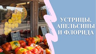 Устрицы, Апельсины и Поход в Зоопарк. Флорида